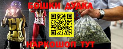 гидропоника Новозыбков