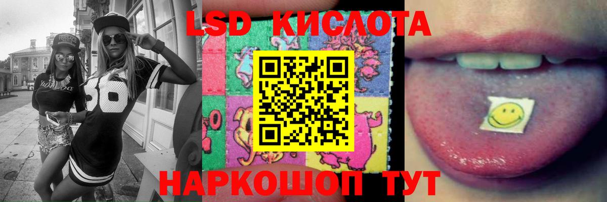 Альфа ПВП Петрозаводск