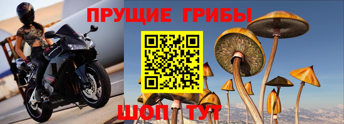 Псилоцибиновые грибы Psilocybe  Псилоцибиновые грибы Magic Shrooms  Петрозаводск  Вход с VPN 
