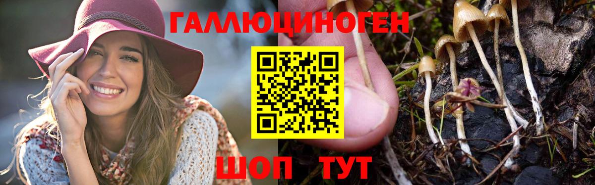 Псилоцибиновые грибы мицелий Петрозаводск